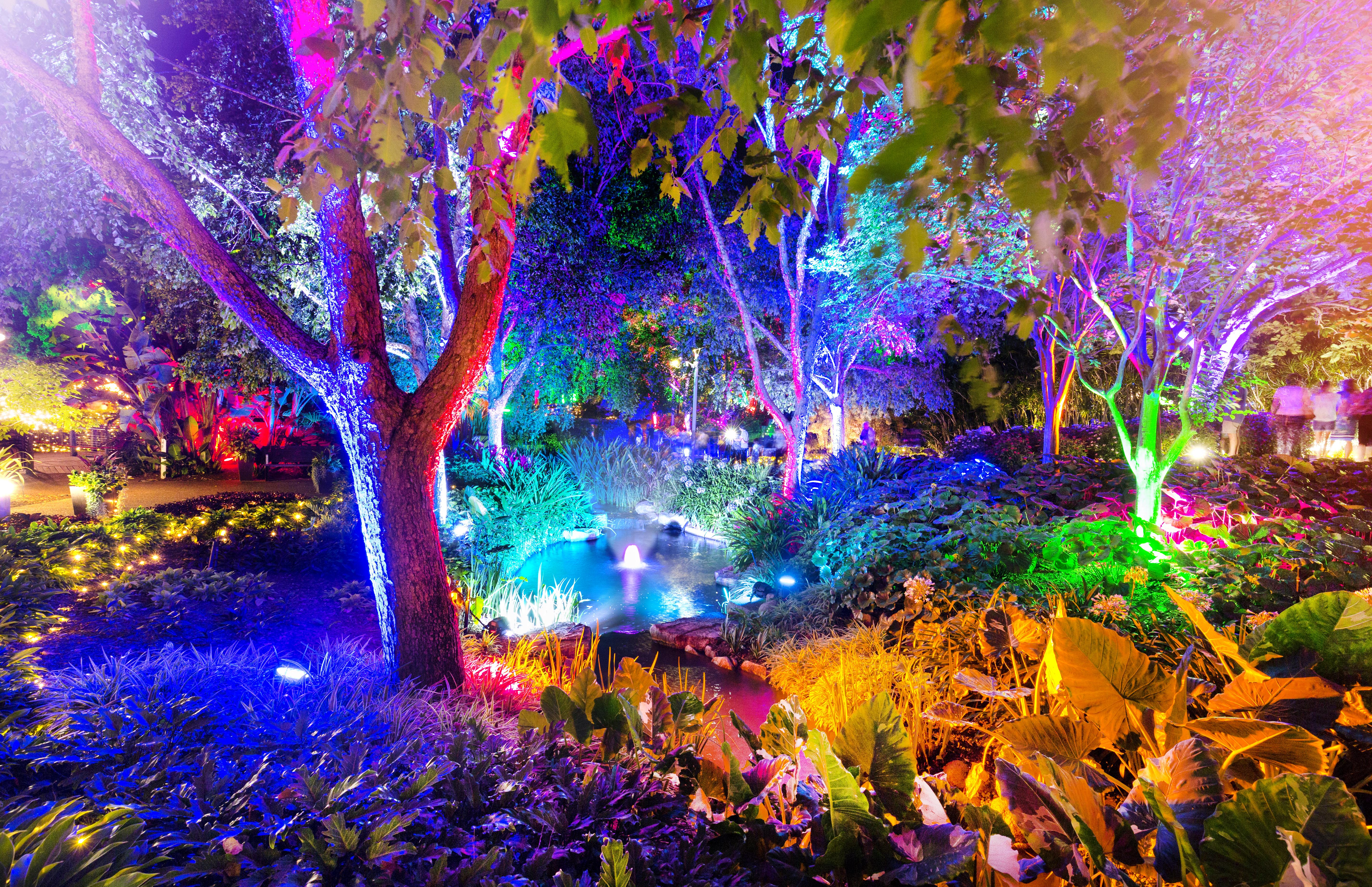 enchanted garden landscape